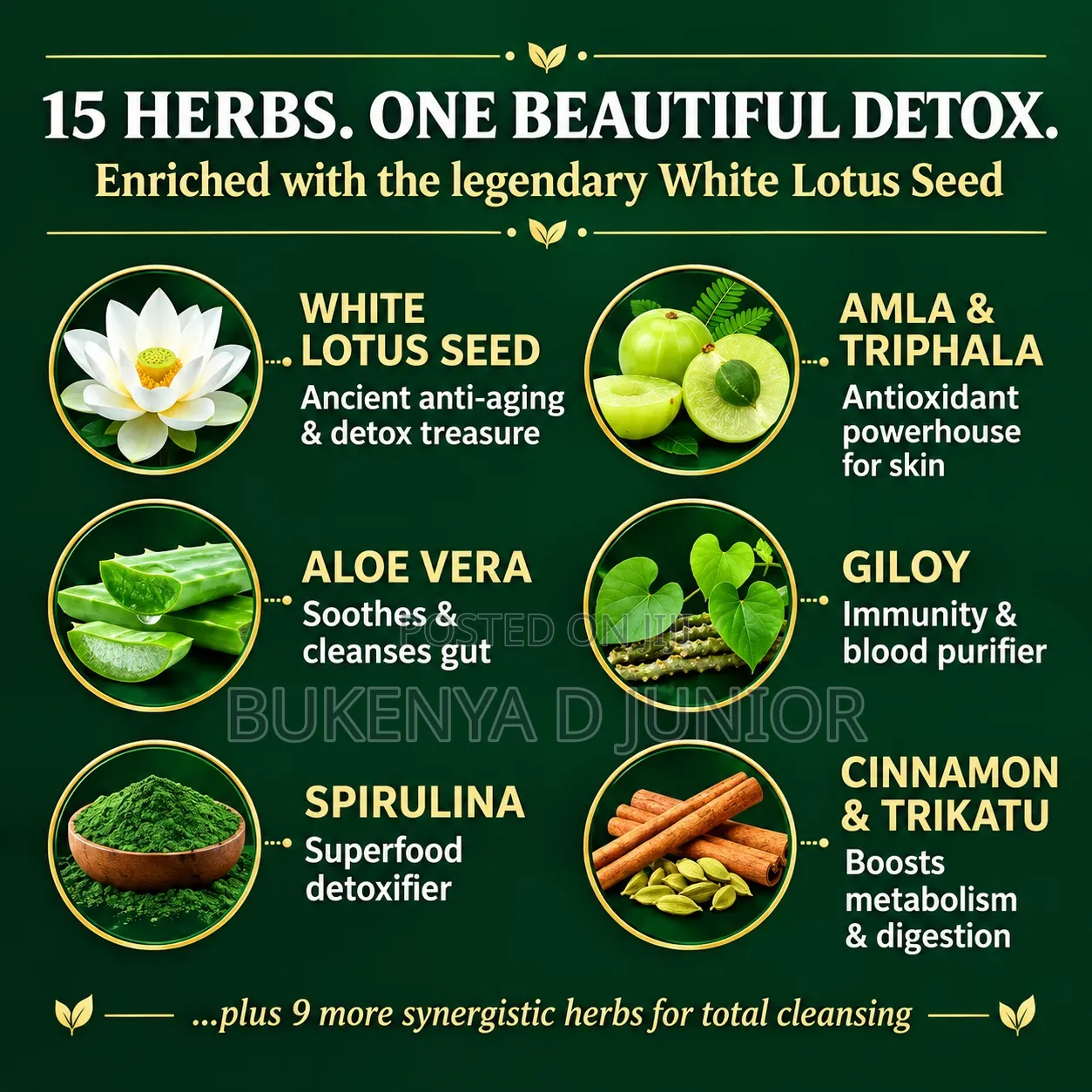 Ayurveda Clean Detox