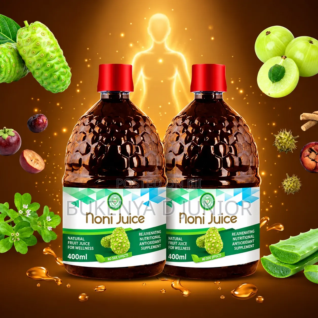 Ayurveda Noni Juice