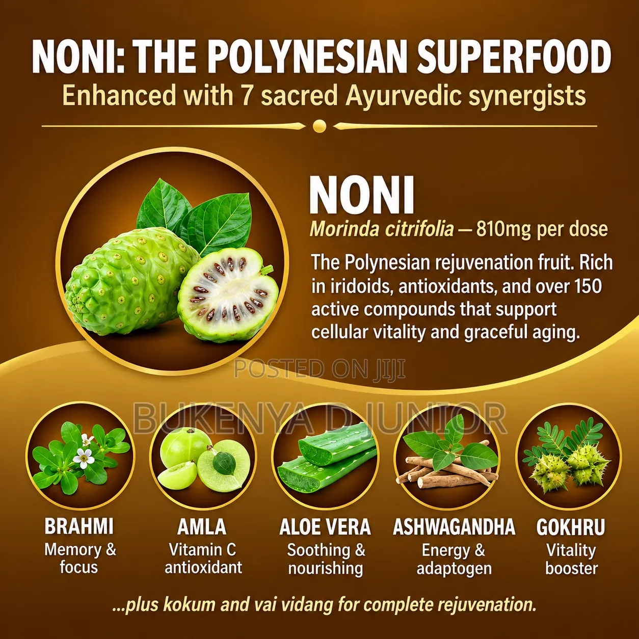 Ayurveda Noni Juice