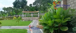Smart Compound Designing/ Land Scaping Services for Beautiful Homes