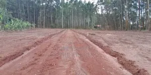 Prime Plots for Sale at Mpigi~Kubikondo Estate~Masaka Road.