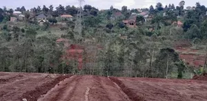 Prime Plots for Sale at Mpigi~Kubikondo Estate~Masaka Road.