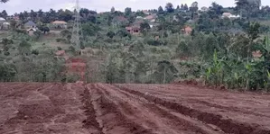 Prime Plots for Sale at Mpigi~Kubikondo Estate~Masaka Road.