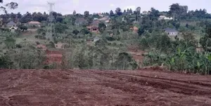 Prime Plots for Sale at Mpigi~Kubikondo Estate~Masaka Road.