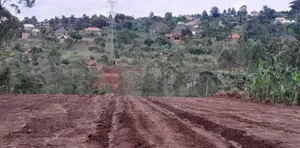 Prime Plots for Sale at Mpigi~Kubikondo Estate~Masaka Road.