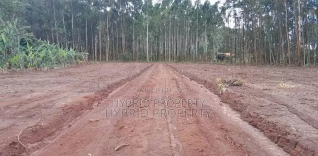 Prime Plots for Sale at Mpigi~Kubikondo Estate~Masaka Road.