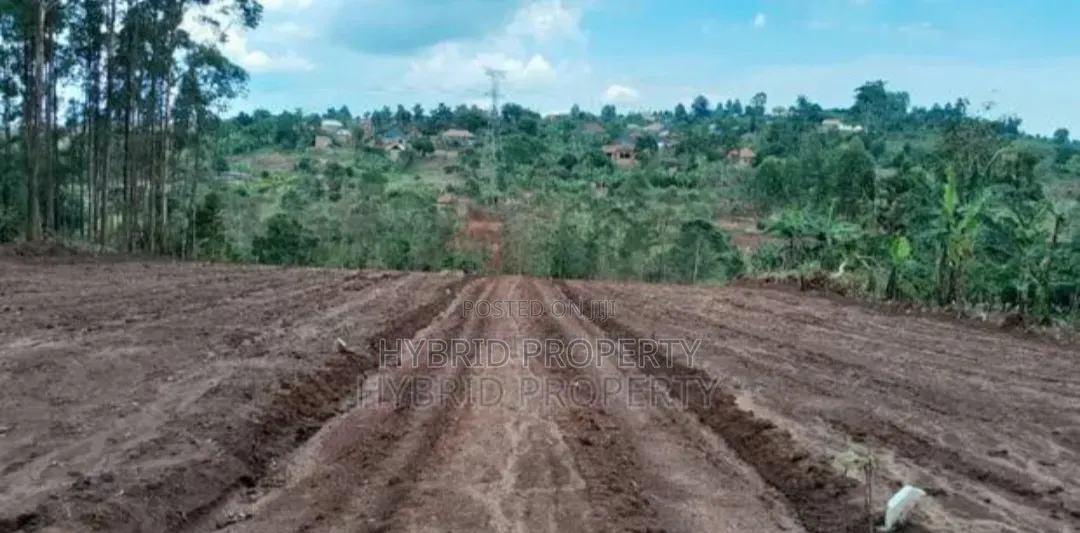 Prime Plots for Sale at Mpigi~Kubikondo Estate~Masaka Road.