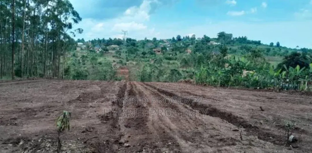 Prime Plots for Sale at Mpigi~Kubikondo Estate~Masaka Road.