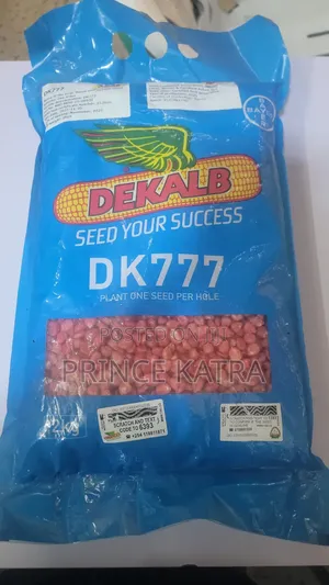 Maize :DK8031/DK777