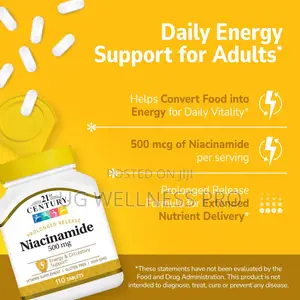 21st Century Niacinamide 500mg Prolonged Release, No Flush, 110 Count