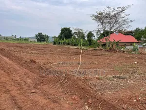 Prime Plots for Sale at Kakiri~Gobero Muguluka Divine Estate~Hoima Rd.