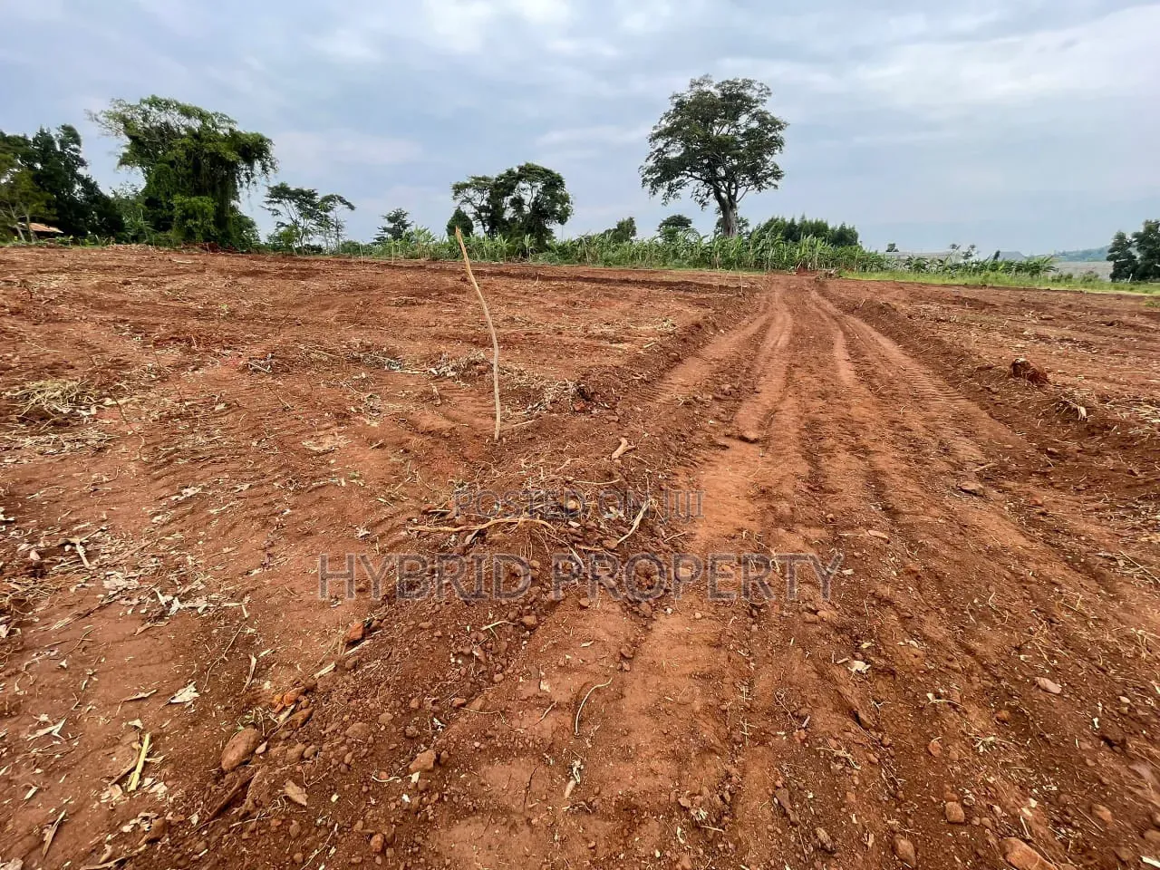Prime Plots for Sale at Kakiri~Gobero Muguluka Divine Estate~Hoima Rd.