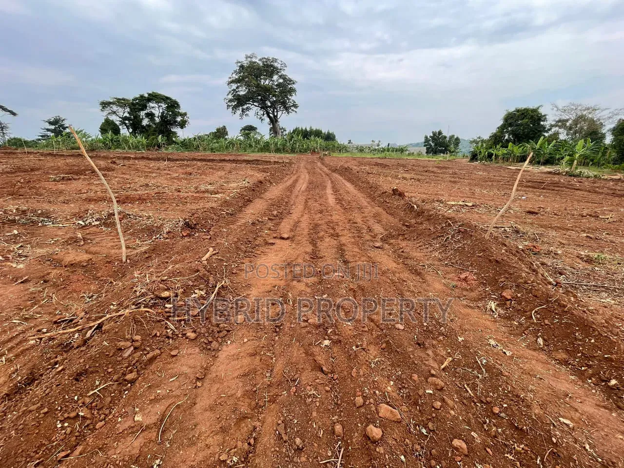 Prime Plots for Sale at Kakiri~Gobero Muguluka Divine Estate~Hoima Rd.