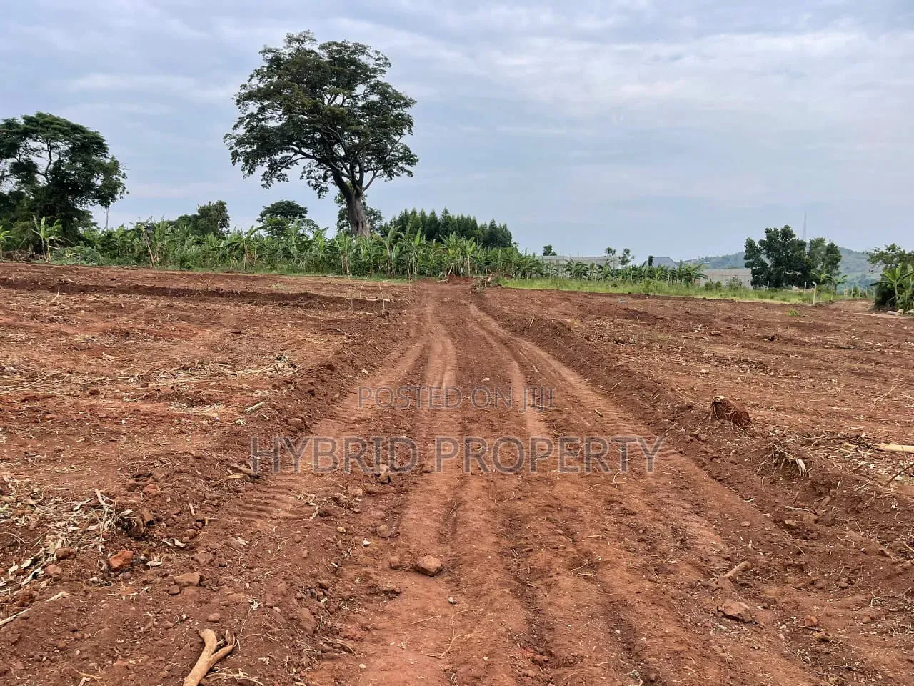 Prime Plots for Sale at Kakiri~Gobero Muguluka Divine Estate~Hoima Rd.