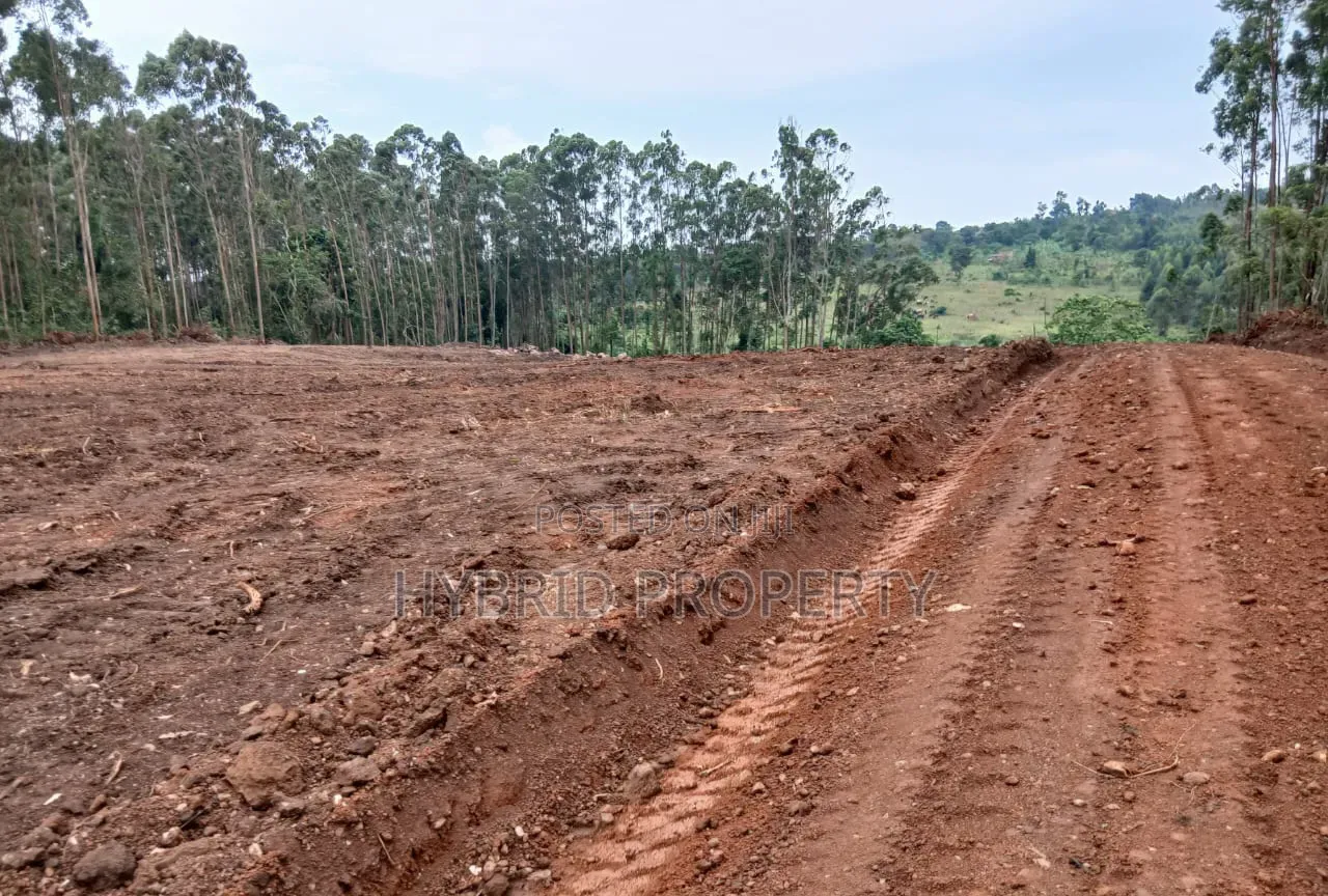 Prime Plots for Sale at Kakiri~Gobero Muguluka Divine Estate~Hoima Rd.