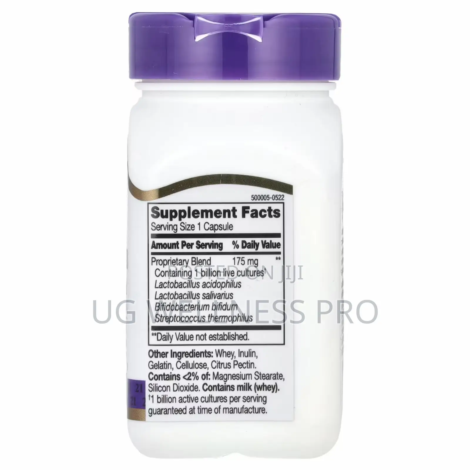21st Century Acidophilus Probiotic Blend Digestive Gut Health 100s