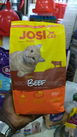 CAT Tasty Beef Rich Complete Nutrition for Adult Cats