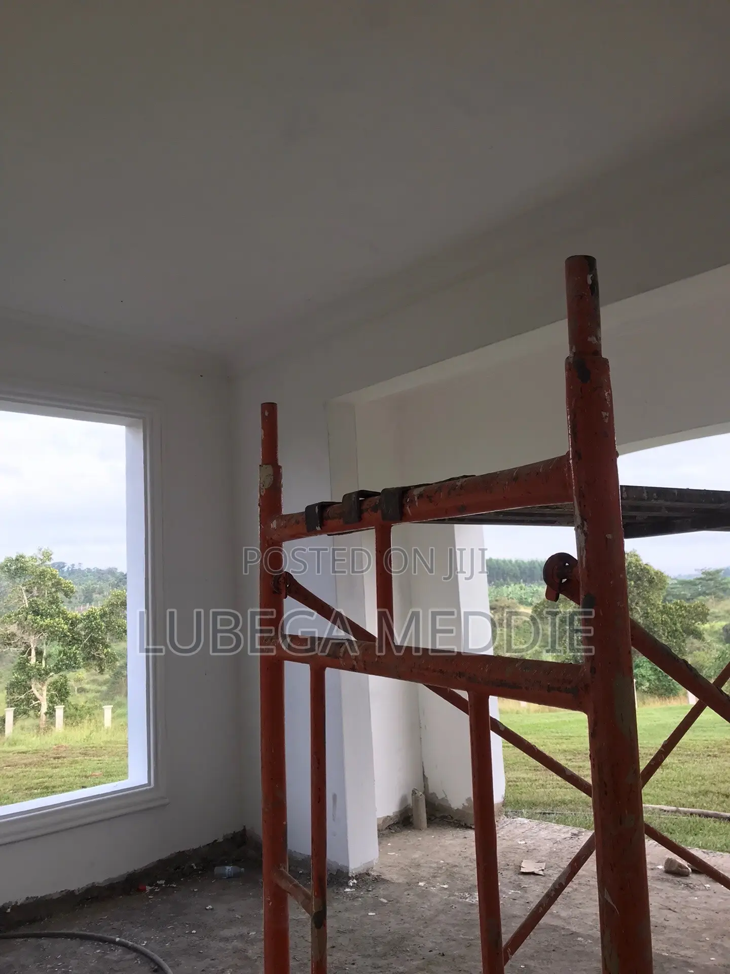 House Painters Available
