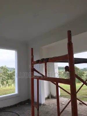 House Painters Available