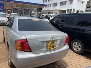 Toyota Axio 2011 Silver