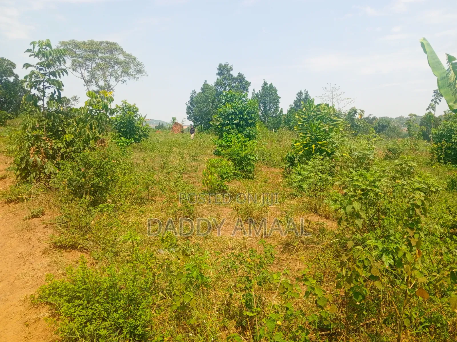 Nampunge Titled 1.5km