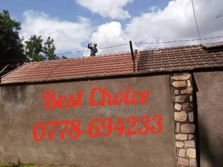 Expert Roof Cleaning Services Transforming Your Property