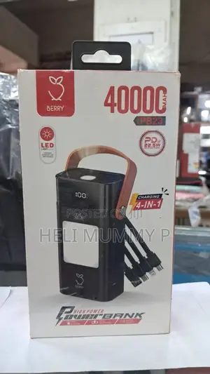 Berry 40000mAh PB23 Power Bank,