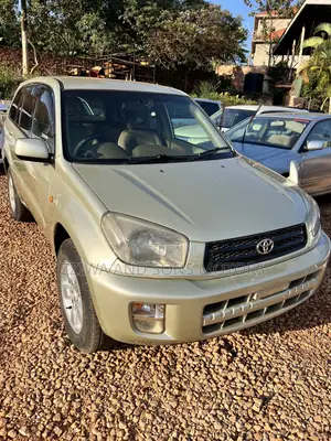 Toyota RAV4 Base AWD 2001 Gold