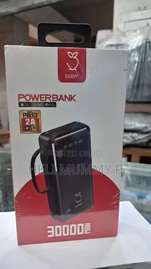 Berry10000 PB13 Power Bank