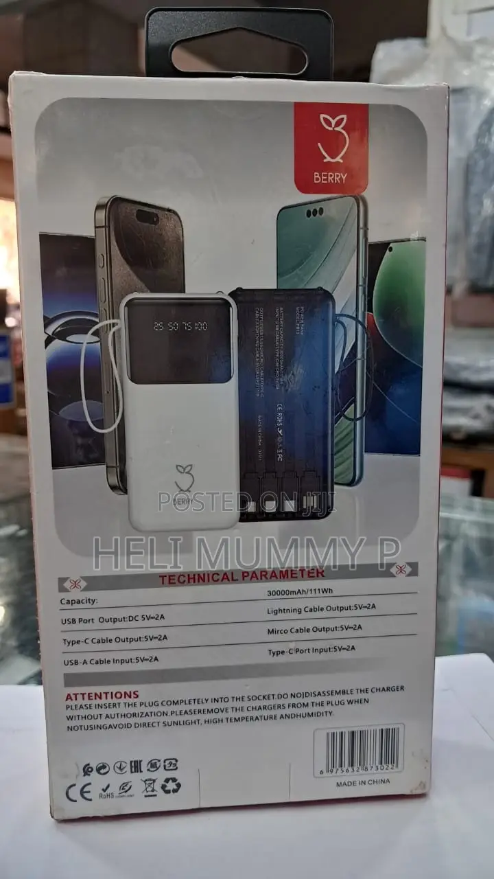 Berry10000 PB13 Power Bank