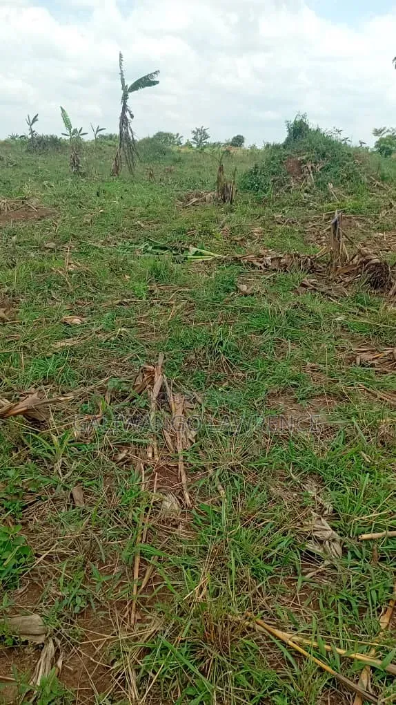 Land in Nakasongola