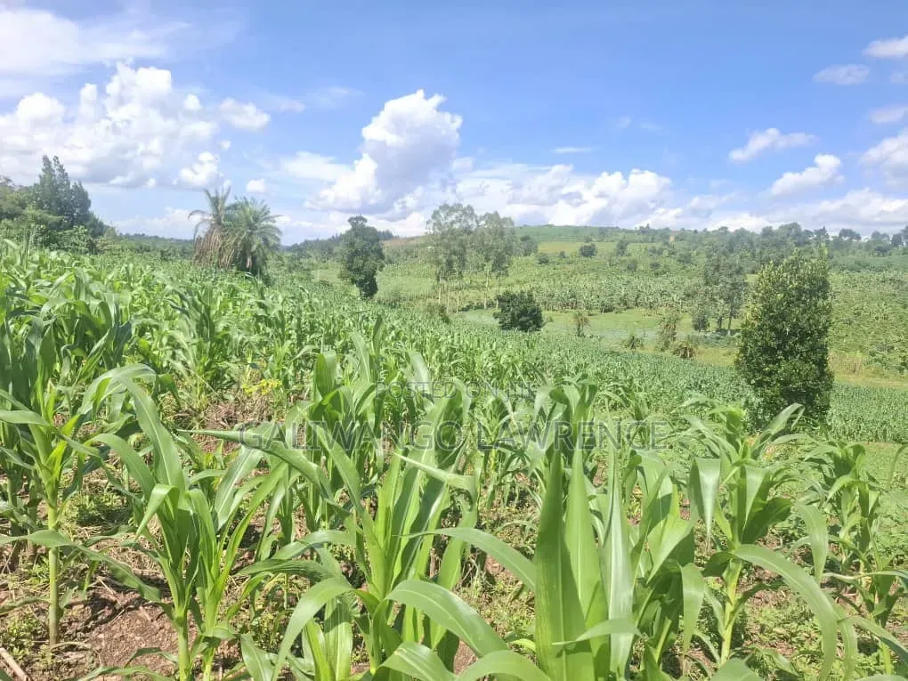 Land in Nakasongola