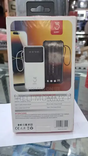 Berry PB12 20,000 mAh Power Bank