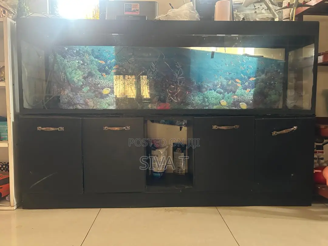 Rectangular Glass Aquarium (Fish Tank) With Wooden Cabinet