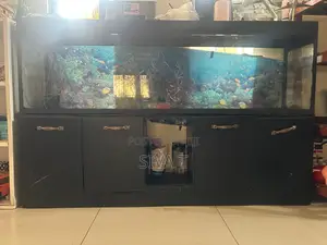 Rectangular Glass Aquarium (Fish Tank) With Wooden Cabinet