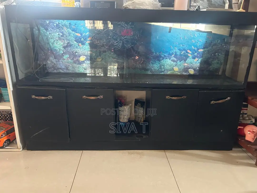 Rectangular Glass Aquarium (Fish Tank) With Wooden Cabinet