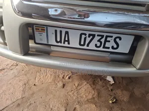 Toyota Land Cruiser 2005 Gray
