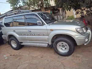 Toyota Land Cruiser 2005 Gray