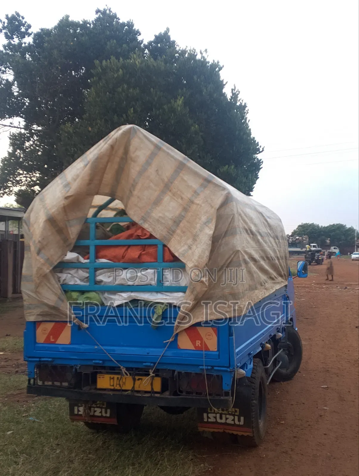 Used Vehicle