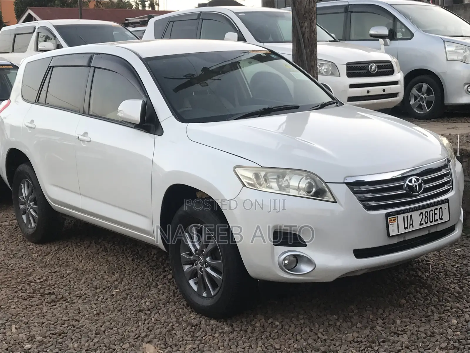 Toyota Vanguard 2009 White