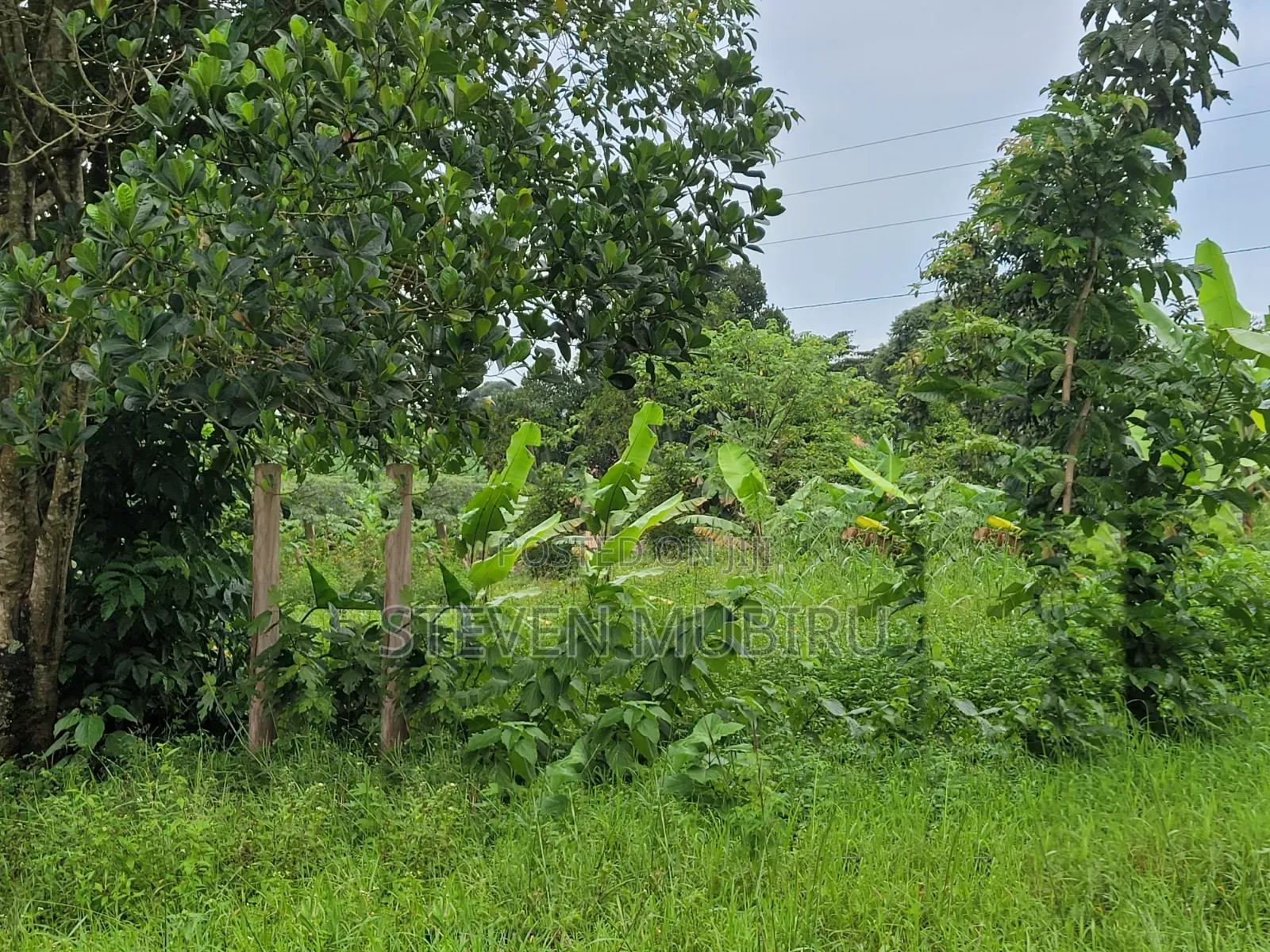 Busiika Land for Sale 100by100