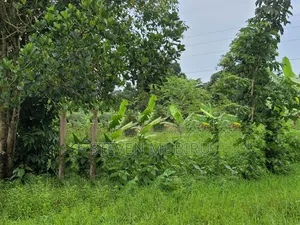 Busiika Land for Sale 100by100