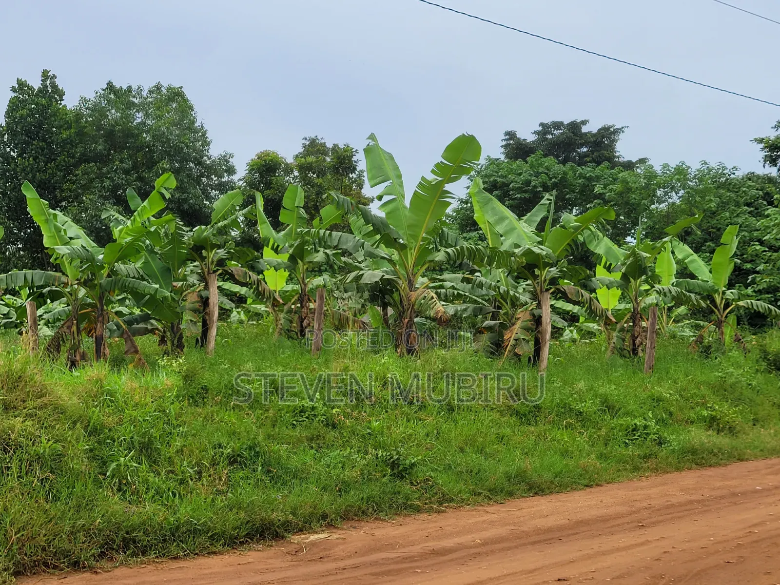 Busiika Land for Sale 100by100