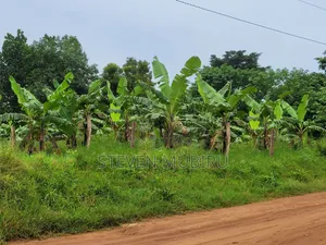 Busiika Land for Sale 100by100