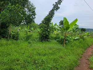 Busiika Land for Sale 100by100