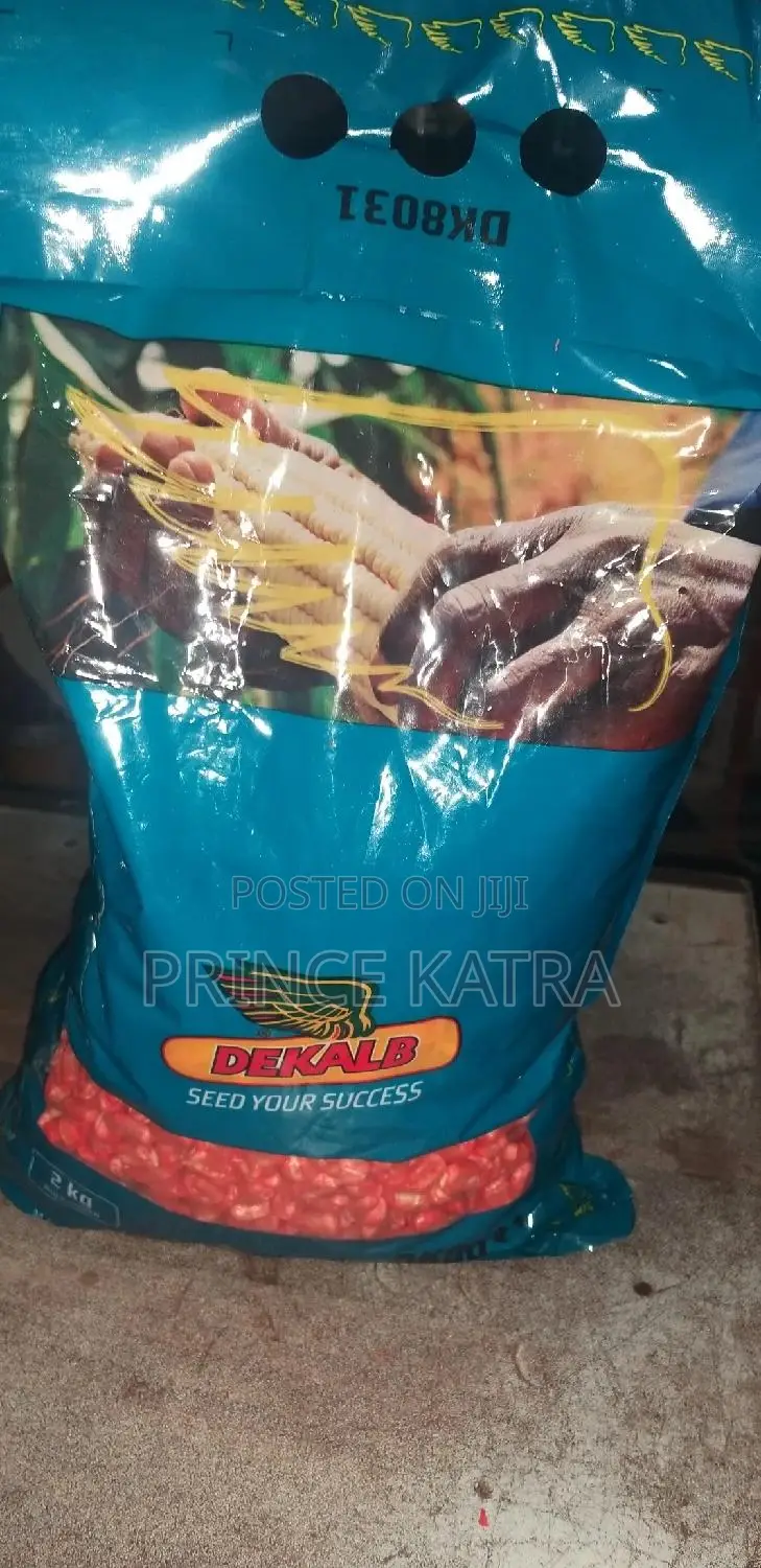 Maize :DK8031/DK777
