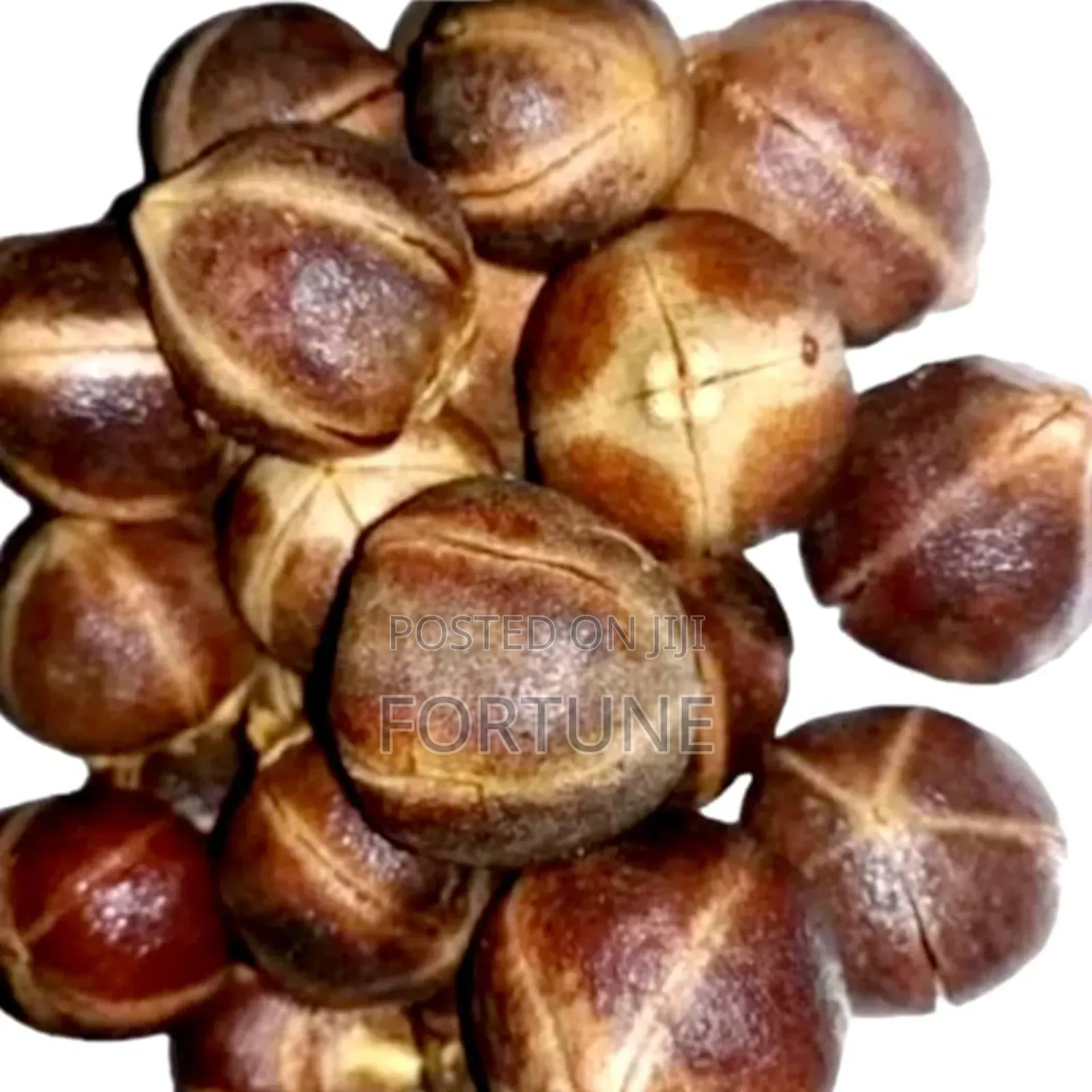 Gorontula 250grams