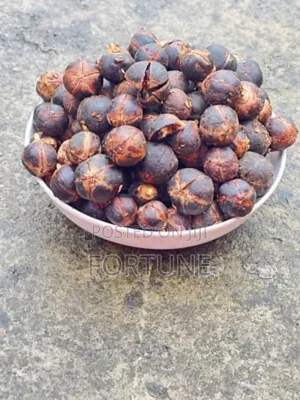African Chewing Gum Fruit 250g