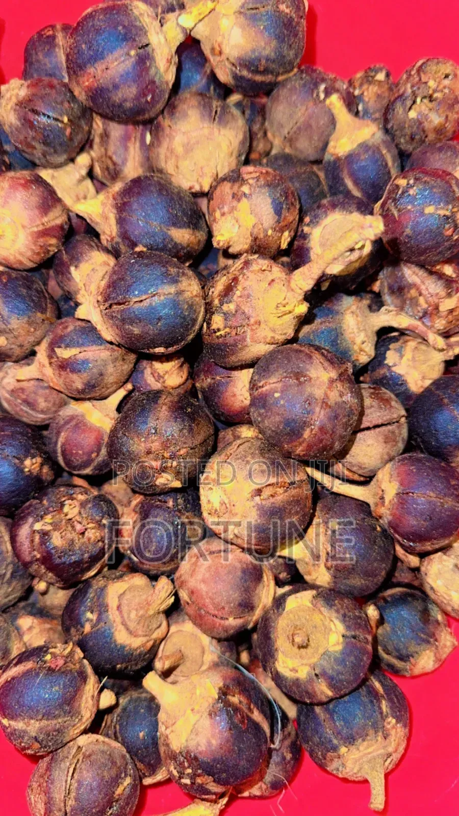 Gorontula/ Snot Apple 250g
