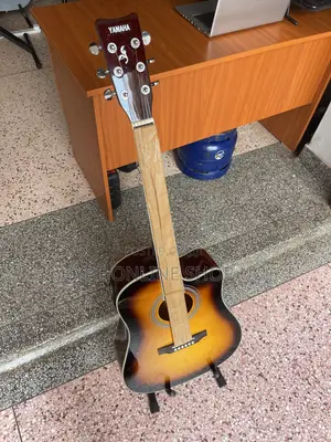 Fire Burn Brandnew Mahogany Powered/Electric Acoustic Guitar